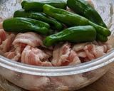 レンジで副菜ピーマン大量消費♪包丁不要♪作り方1写真