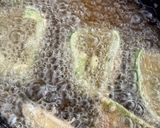 てんぷら作り方5写真