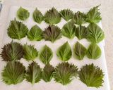 大葉ギョウザとエゴマの葉ギョウザ作り方6写真