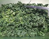 ♻️保存方法｜パセリ🌿ロス削減術｜雑学メモ等♪作り方11写真