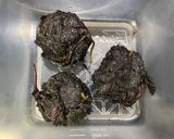 梅干し作り方7写真