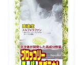 健康と身体のためのアンチエイジングサラダ作り方2写真