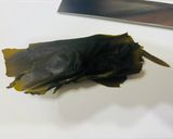 出がらしの出汁昆布で、かんたん酢の酢昆布作り方1写真
