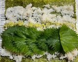 海鮮太巻き 簡単 具沢山のご飯少なめ！作り方5写真