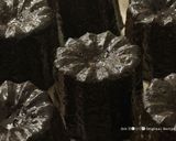 絶品！和の極み⭐︎米粉仕立ての抹茶カヌレ作り方28写真