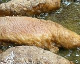おうち居酒屋♯フライドササミ作り方5写真