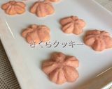 チョコチャンククッキー作り方10写真