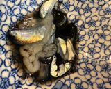 釣って来たヤリイカでイカ墨パスタ作り方3写真