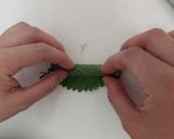 きゅうりと長芋の塩こうじ和え作り方7写真