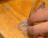 イカと大根の煮物作り方3写真