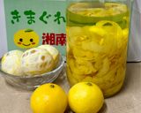 湘南ゴールドのコンフィチュール作り方1写真