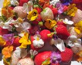 Lovery flower strawberry cake作り方1写真