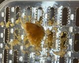 生姜香るキャベツと豆腐の卵とじ煮作り方5写真