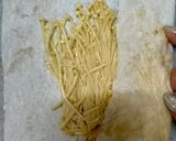 えのきのおつまみ柚子ポン酢風味作り方3写真
