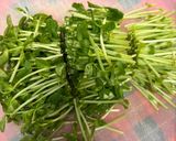 豆苗と海苔のナムル作り方1写真