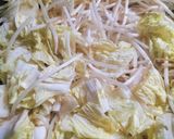 爆速限界！ホイコーロー🧧白菜もやし消費に作り方2写真