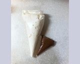 Paul’s チョコレート・ティーケーキ作り方32写真