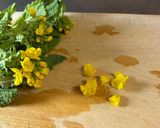 ちょっと拝借！なばなの花びらを添えて作り方2写真