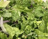 サラダが食べたくなる⁈人参ドレッシング作り方10写真