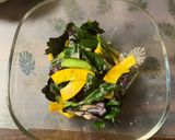 金時草とコリンキーのサラダ作り方16写真