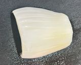 本格魚介パエリア　フライパン28㎝作り方5写真