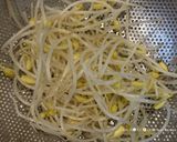 沢山食べれる★小松菜と豆もやしの塩ナムル作り方17写真