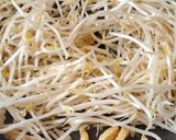 節約おかず🌟もやしと油揚げのうま塩炒め作り方4写真
