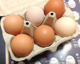 「雲海」こだわり派の美味しい卵かけご飯作り方1写真