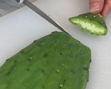 サボテンの下処理＆保存方法作り方7写真