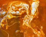 バターチキンカレー♡ルーと玉葱で簡単美味作り方7写真