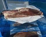 麺つゆで簡単燻製　ベーコン、卵、ホタテ作り方10写真