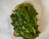 断面完璧サンドイッチ作り方8写真