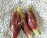 みょうがと大葉のさっぱり和え作り方1写真
