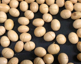 ★乾燥大豆で自家製きな粉　無添加作り方2写真
