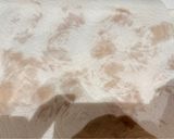 しっとり柔らか鶏胸肉作り方4写真