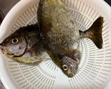 アイゴのムニエル作り方4写真