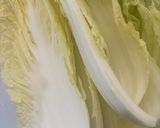 簡単美味しい白菜でミルフィーユ鍋😋作り方1写真