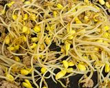 一人暮らし豆もやし担々麺作り方1写真