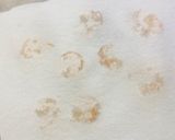 簡単時短！エビスイートチリソースマヨ作り方3写真