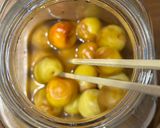 梅干し 塩分8%作り方7写真