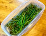 これが便利！わらびのあく抜き作り方4写真
