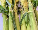 ベビーコーンのグリル（cosoli）作り方1写真