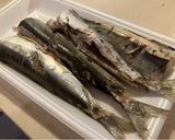 ウルメイワシの梅煮作り方1写真