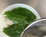 最短3日簡単綺麗に仕上がる桜葉の塩漬け　作り方10写真