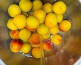 梅の醤油漬け作り方1写真