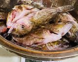 フードドライヤーでガシラ煮干し（カサゴ）作り方4写真