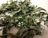 よもぎ茶作り方4写真