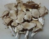 ヒラタケと油揚げで作るヒラタケご飯：美味作り方1写真