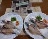 家族の釣果☆鯵の一夜干しを冷凍保存にも作り方5写真