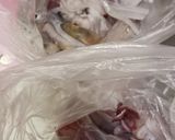 ヤリイカ刺身&初心者でも簡単下処理作り方7写真